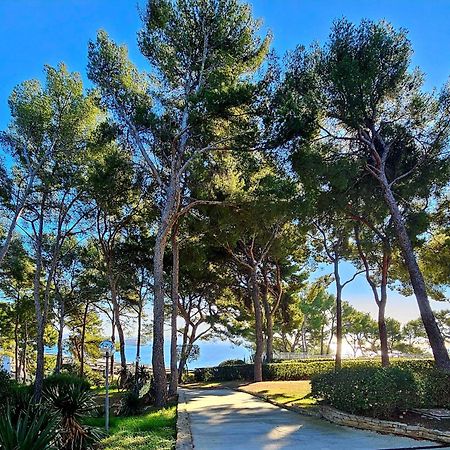 Superbe Appartement Dans Cadre D'Exception - Piscine, Plage Et Tennis Prive Bandol Exteriér fotografie