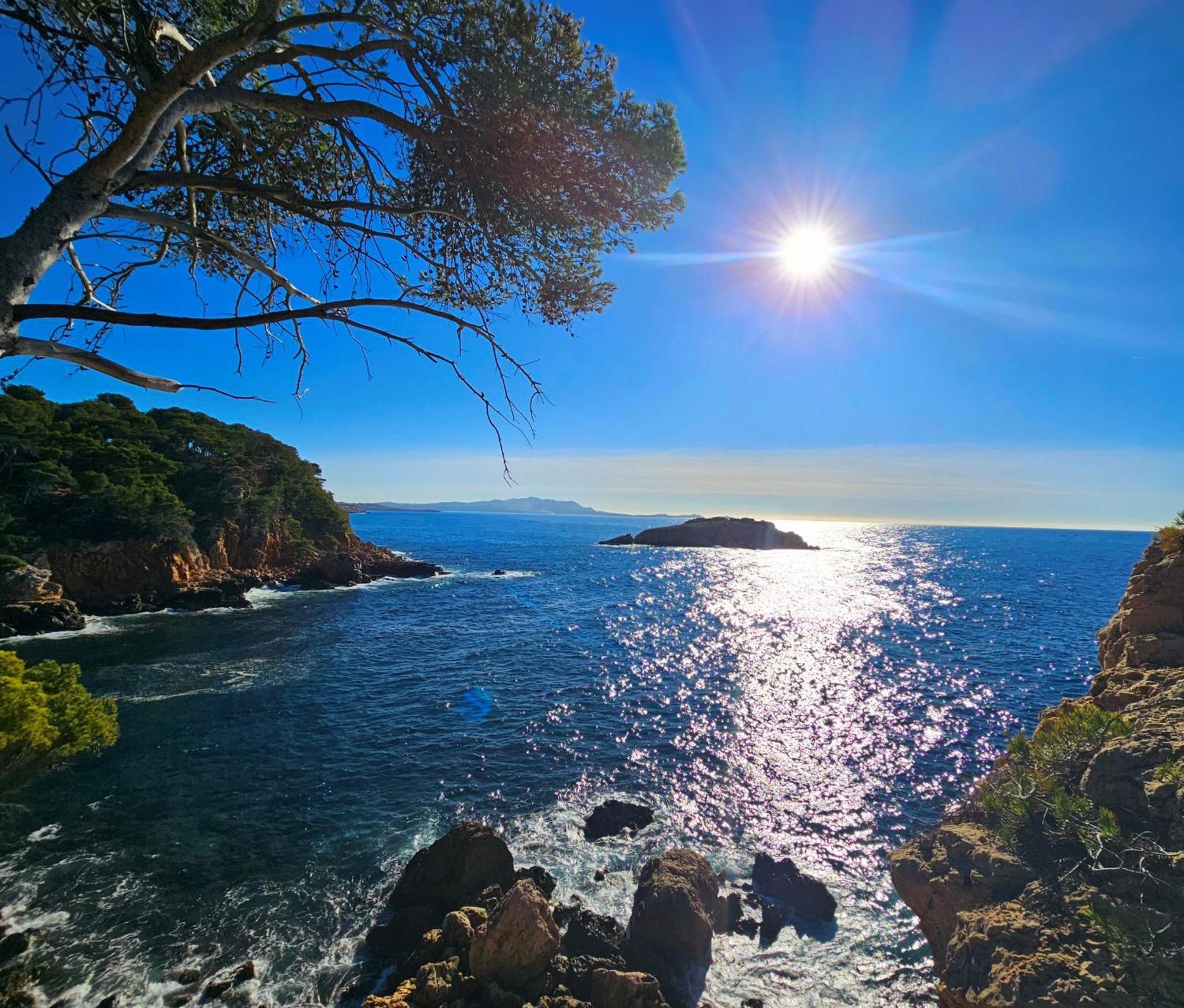 Superbe Appartement Dans Cadre D'Exception - Piscine, Plage Et Tennis Prive Bandol Exteriér fotografie