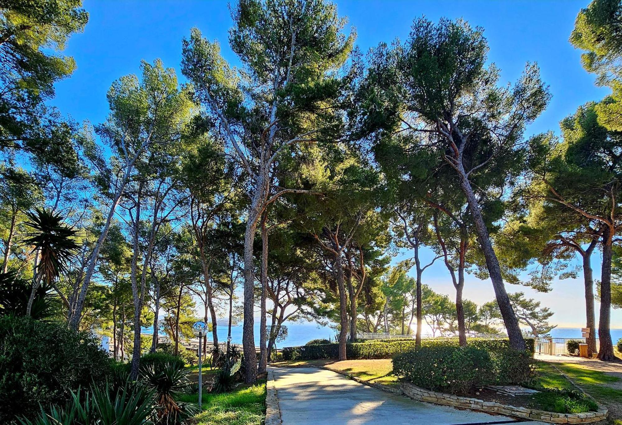 Superbe Appartement Dans Cadre D'Exception - Piscine, Plage Et Tennis Prive Bandol Exteriér fotografie